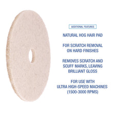Load image into Gallery viewer, Natural Hog Hair Burnishing Floor Pads, 17" Diameter, Tan, 5/Carton
