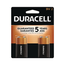 Load image into Gallery viewer, CopperTop Alkaline 9V Batteries, 2/Pack
