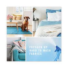 Load image into Gallery viewer, FABRIC Refresher/Odor Eliminator, Spring and Renewal, 27 oz Spray Bottle
